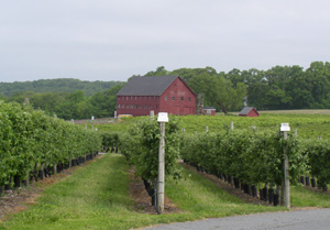 farm